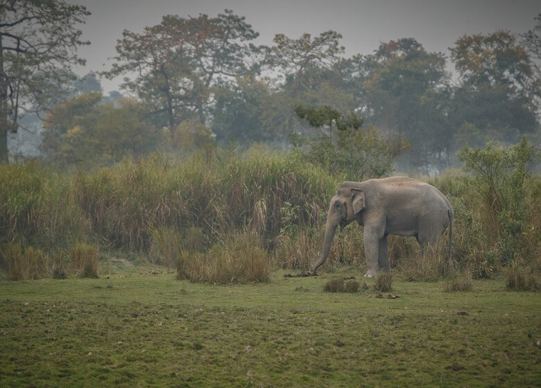 Kathmandu Pokhara Chitwan Tour